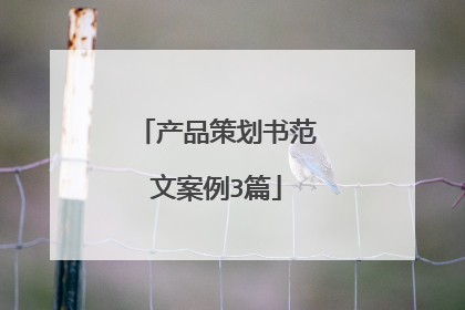 产品策划书范文案例3篇