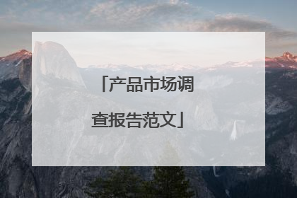 产品市场调查报告范文