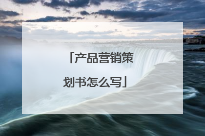 产品营销策划书怎么写