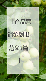 产品营销策划书范文3篇