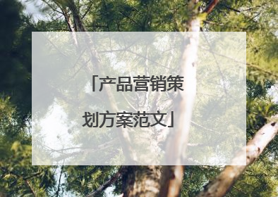 产品营销策划方案范文