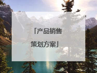 产品销售策划方案