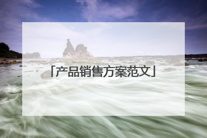 产品销售方案范文