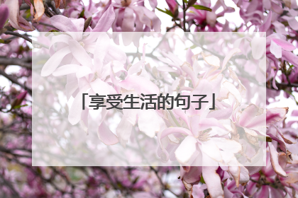 享受生活的句子