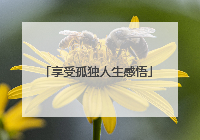 享受孤独人生感悟