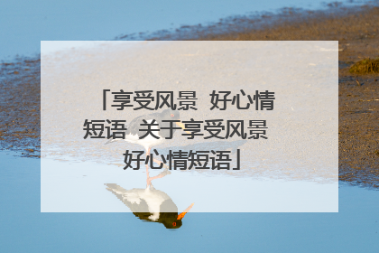 享受风景 好心情短语 关于享受风景 好心情短语