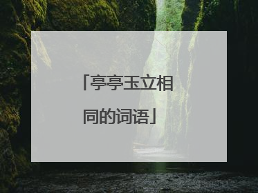 亭亭玉立相同的词语