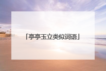 亭亭玉立类似词语