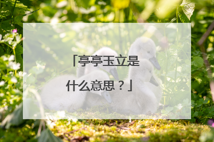 亭亭玉立是什么意思?