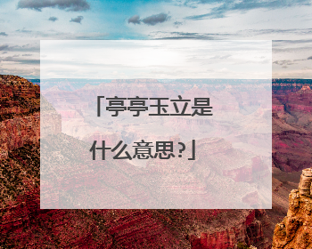 亭亭玉立是什么意思?