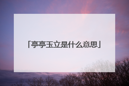 亭亭玉立是什么意思