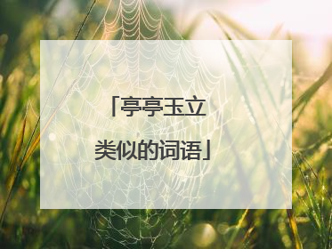 亭亭玉立 类似的词语