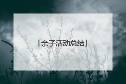 亲子活动总结