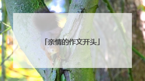 亲情的作文开头