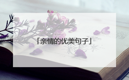 亲情的优美句子