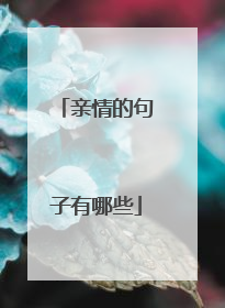 亲情的句子有哪些