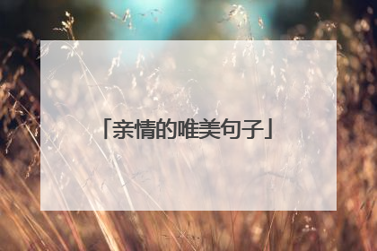 亲情的唯美句子