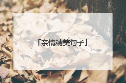 亲情精美句子