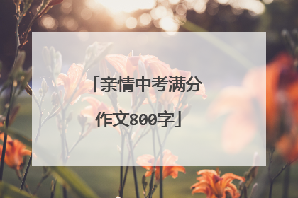 亲情中考满分作文800字