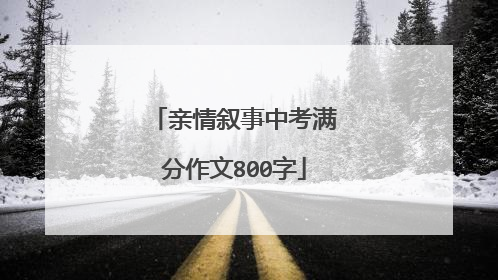 亲情叙事中考满分作文800字