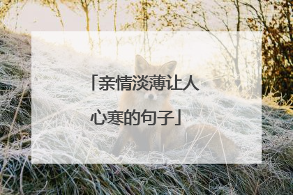 亲情淡薄让人心寒的句子