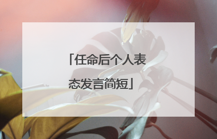 任命后个人表态发言简短