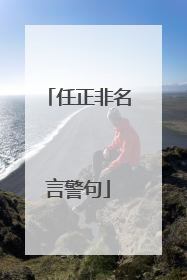 任正非名言警句