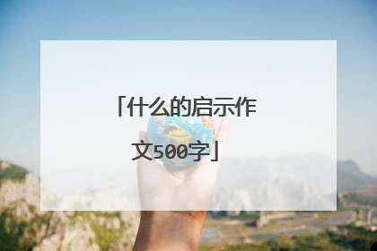 什么的启示作文500字