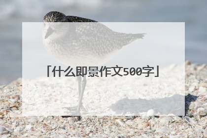 什么即景作文500字
