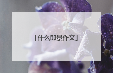 什么即景作文