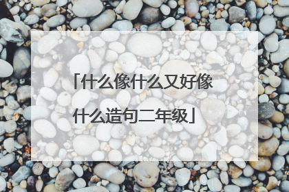 什么像什么又好像什么造句二年级