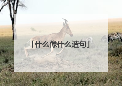 什么像什么造句