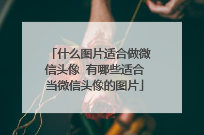 什么图片适合做微信头像 有哪些适合当微信头像的图片