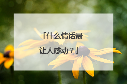 什么情话最让人感动？