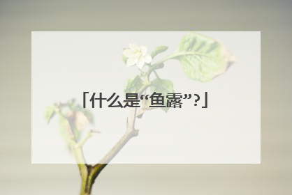什么是“鱼露”?