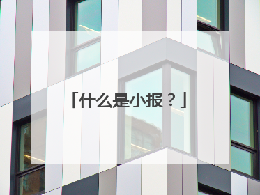 什么是小报?