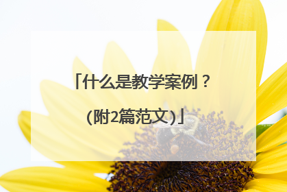 什么是教学案例?(附2篇范文)