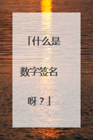 什么是数字签名呀?
