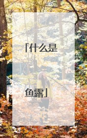 什么是鱼露