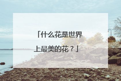 什么花是世界上最美的花？