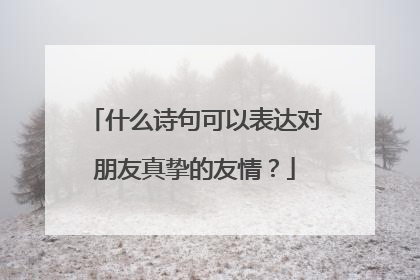 什么诗句可以表达对朋友真挚的友情?