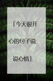 今天很开心的句子说说心情
