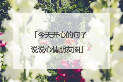 今天开心的句子说说心情朋友圈