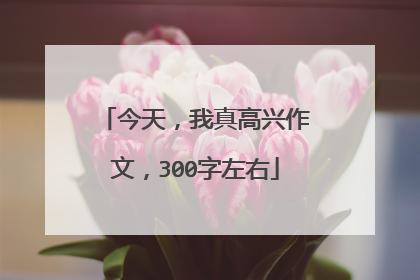 今天,我真高兴作文,300字左右