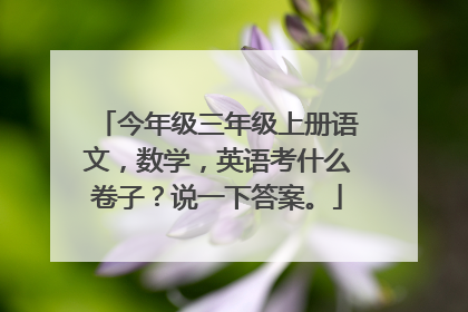 今年级三年级上册语文,数学,英语考什么卷子?说一下答案。