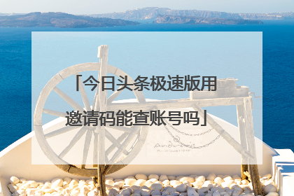 今日头条极速版用邀请码能查账号吗