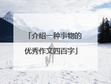 介绍一种事物的优秀作文四百字