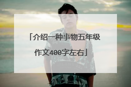 介绍一种事物五年级作文400字左右