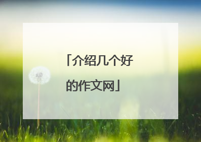 介绍几个好的作文网