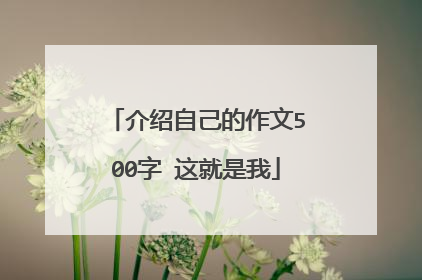 介绍自己的作文500字 这就是我